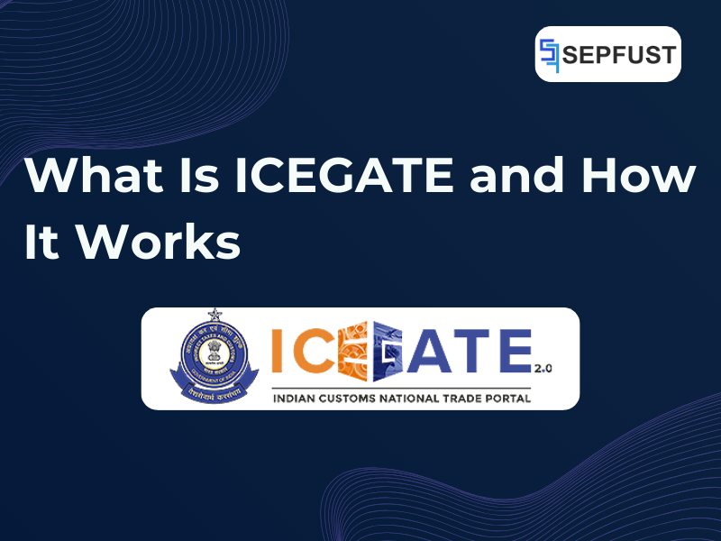 What Is ICEGATE and How It Works